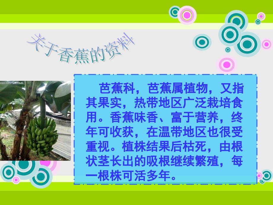科学小实验PPT课件.ppt_第3页