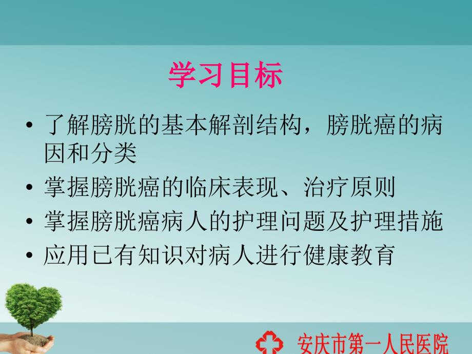 膀胱癌病人的护理PPT课件.ppt_第2页