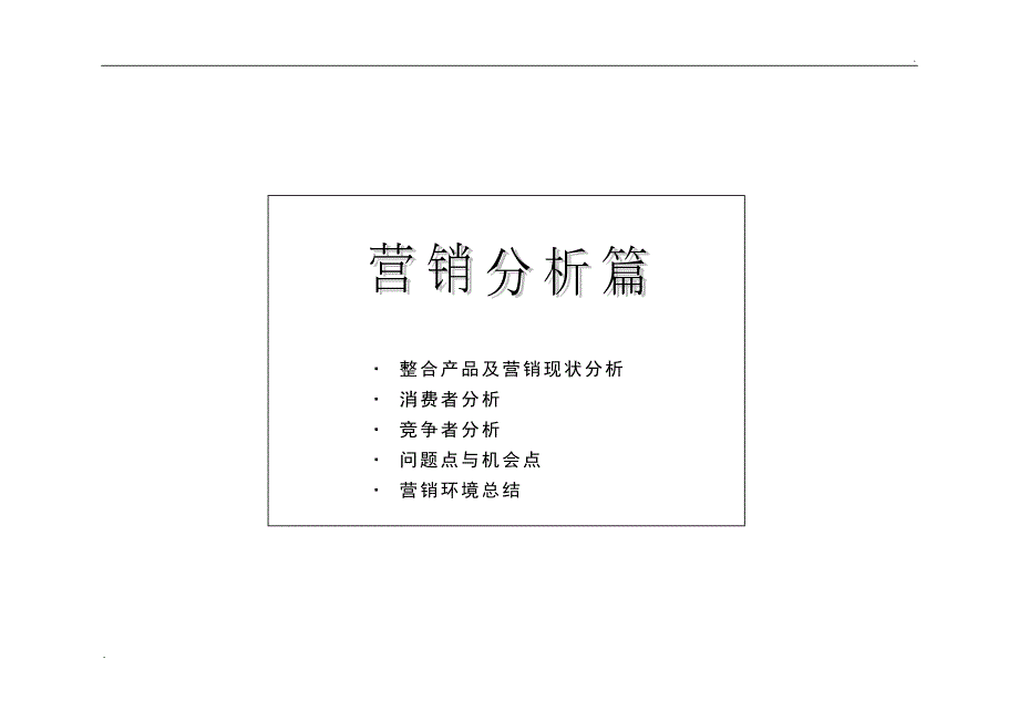 赛格营销推广策划方案.doc_第3页