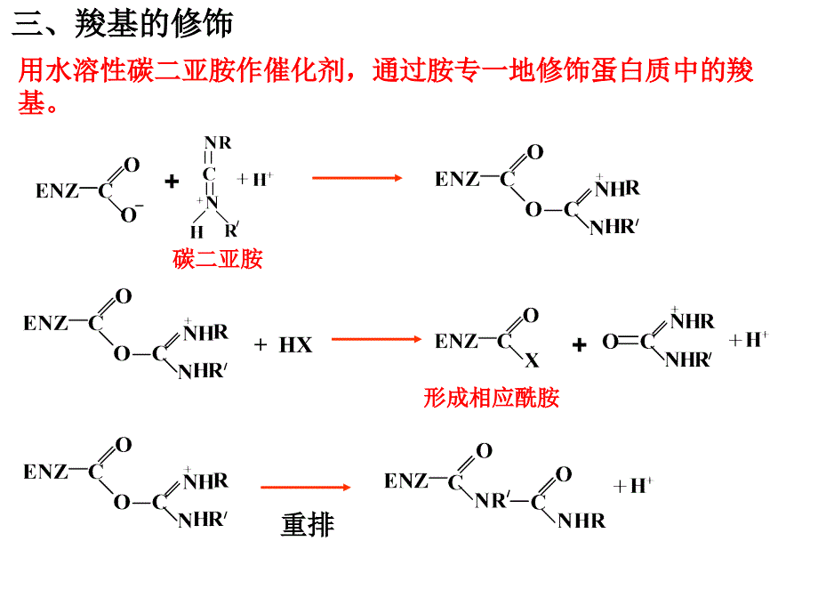 蛋白质的化学修饰.ppt_第2页