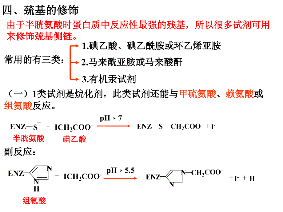蛋白质的化学修饰.ppt_第3页