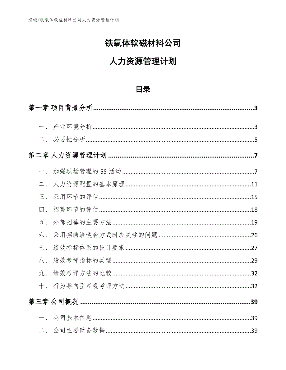 铁氧体软磁材料公司人力资源管理计划.docx_第1页