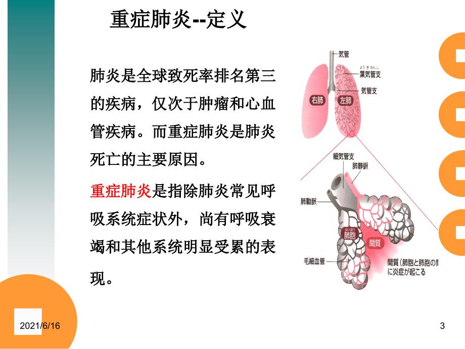 重症肺炎护理个案.ppt_第3页