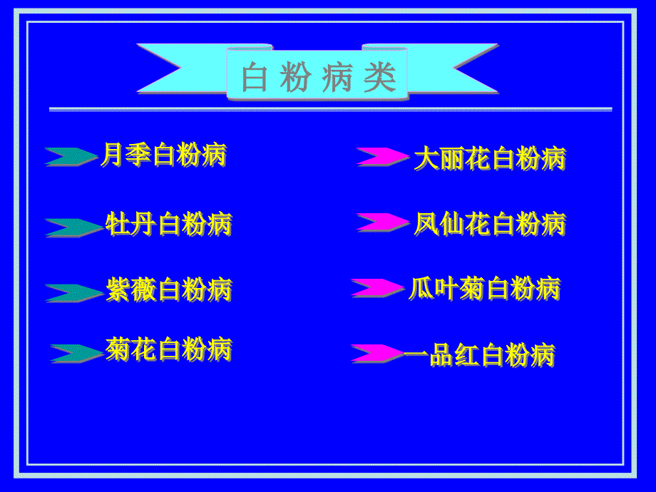 花卉白粉病类PPT课件.ppt_第2页