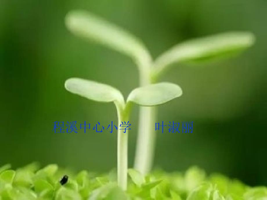第一单元学聪明二集中注意力课件小学心理健康教育闽教版一年级下册643.ppt_第1页