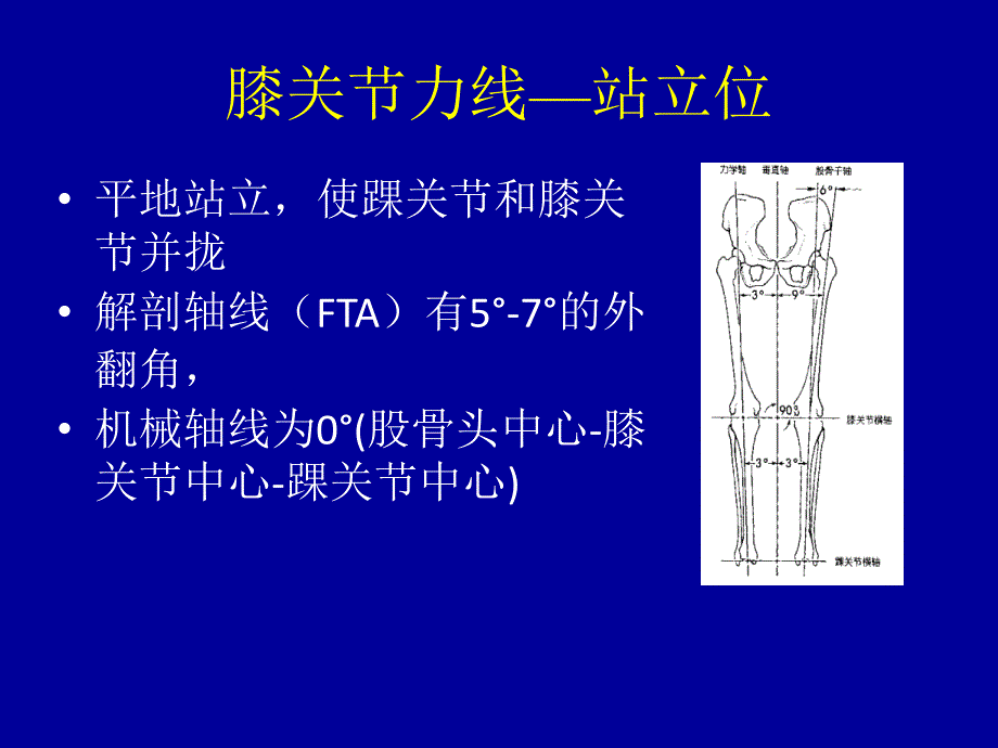 膝关节的查体PPT课件.ppt_第3页