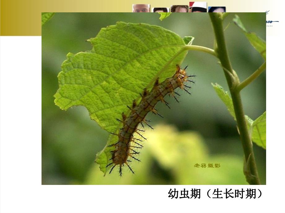 走进青期实践PPT课件.ppt_第2页