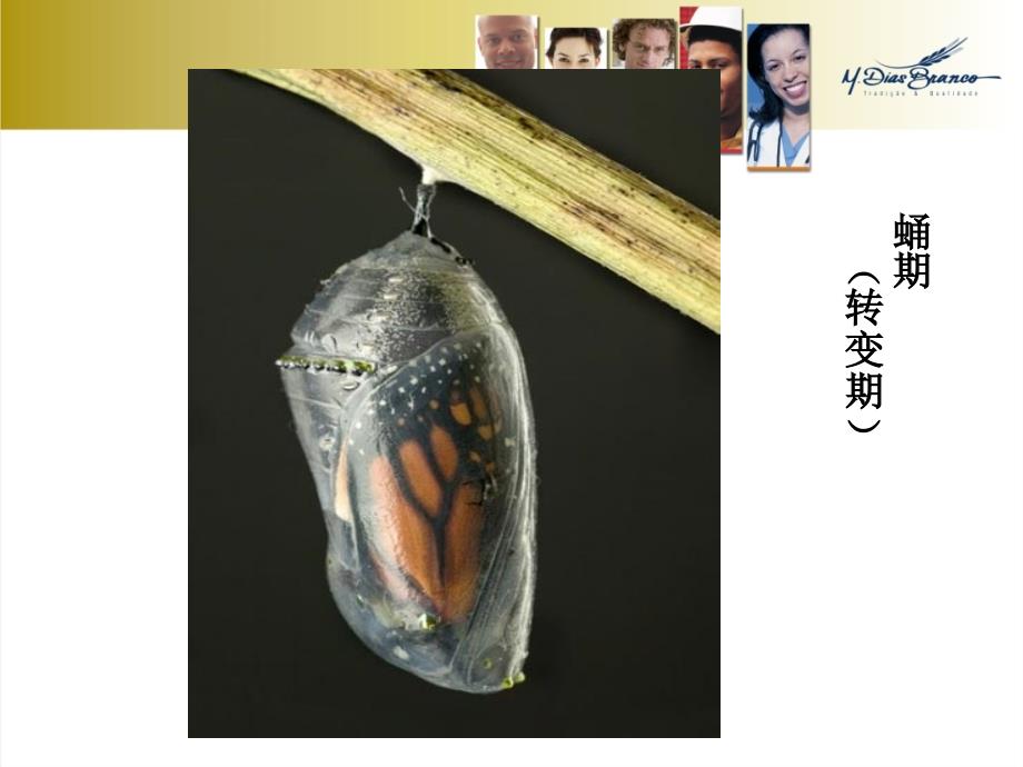 走进青期实践PPT课件.ppt_第3页