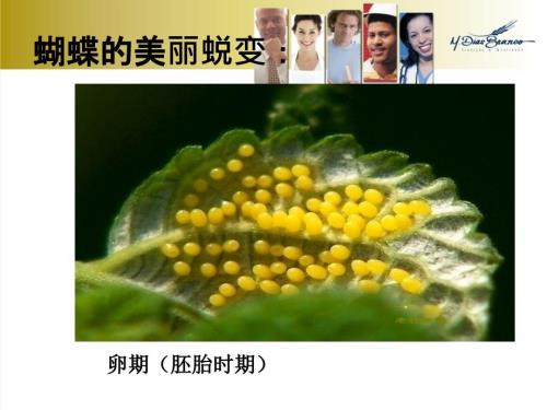 走进青期实践PPT课件.ppt