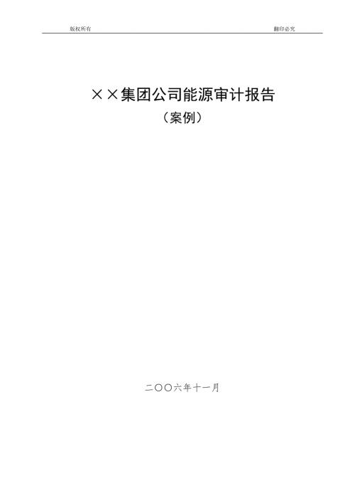 集团公司能源审计报告.doc