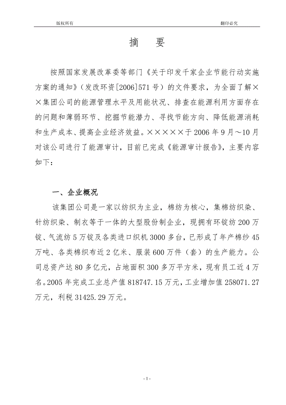 集团公司能源审计报告.doc_第2页