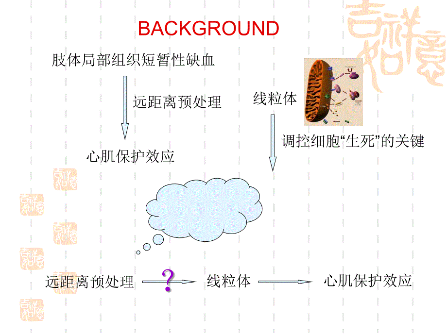 肢体远距缺血预处理在心肌缺血损伤中具有线粒体保护作用.ppt_第2页