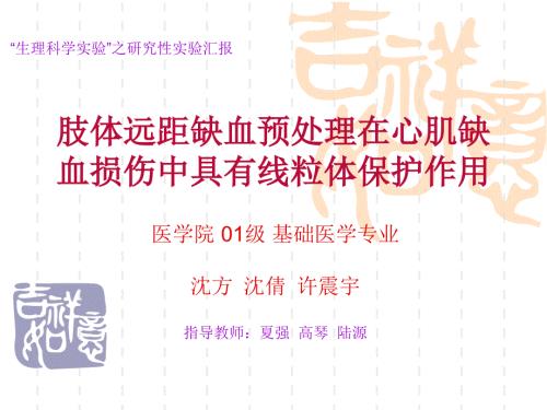 肢体远距缺血预处理在心肌缺血损伤中具有线粒体保护作用.ppt