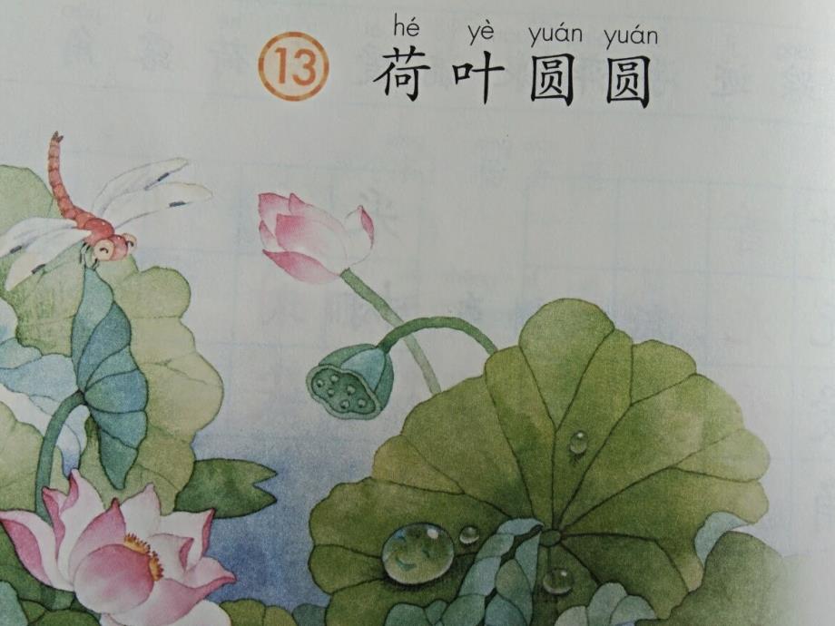 荷叶圆圆第二课时ppt.ppt_第2页
