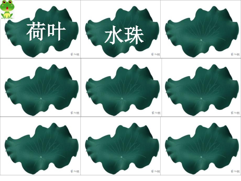 荷叶圆圆第二课时ppt.ppt_第3页