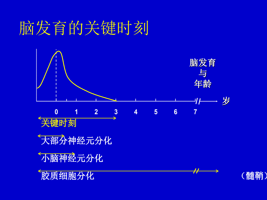 神经精神发育PPT课件.ppt_第3页