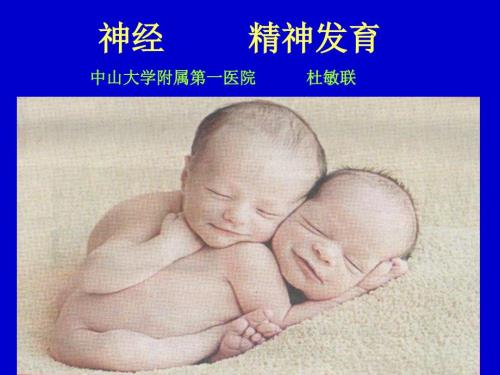 神经精神发育PPT课件.ppt