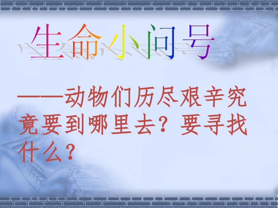 第一课寻找生存的家园.ppt_第3页