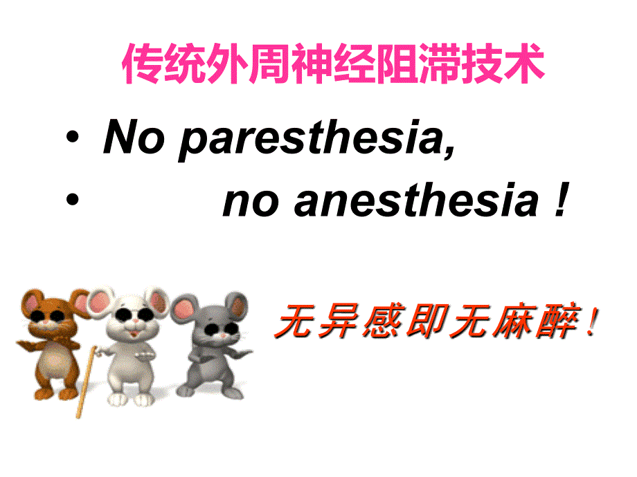 超声引导上肢神经阻滞PPT.ppt_第2页