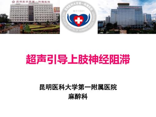 超声引导上肢神经阻滞PPT.ppt
