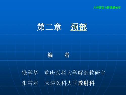 颈部断层解剖PPT课件.ppt