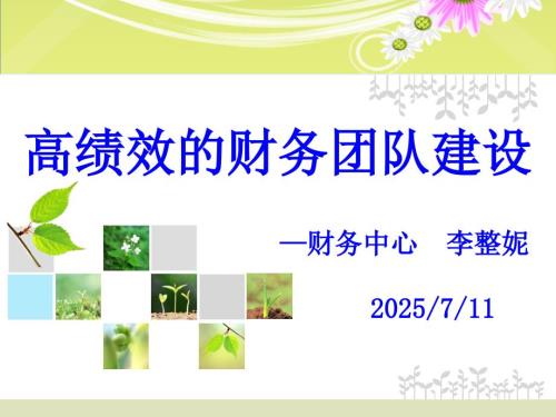高绩效的财务团队建设专题讲座培训.ppt
