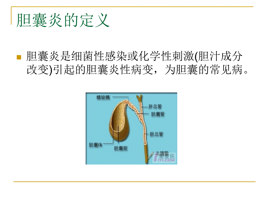 胆囊相关知识.ppt_第2页