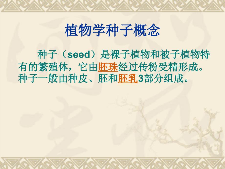 种子基础知识PPT课件.ppt_第3页