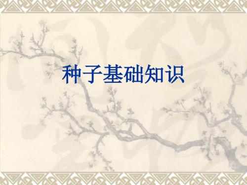 种子基础知识PPT课件.ppt