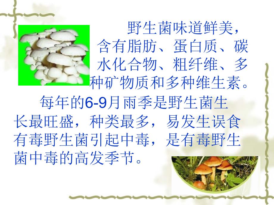 野生菌中毒预防知识课件.ppt_第2页
