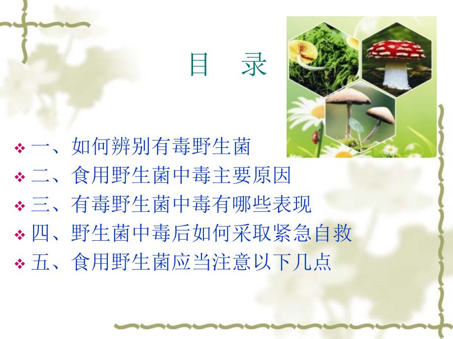 野生菌中毒预防知识课件.ppt_第3页