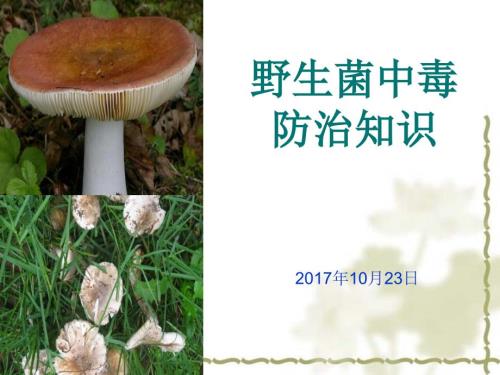 野生菌中毒预防知识课件.ppt