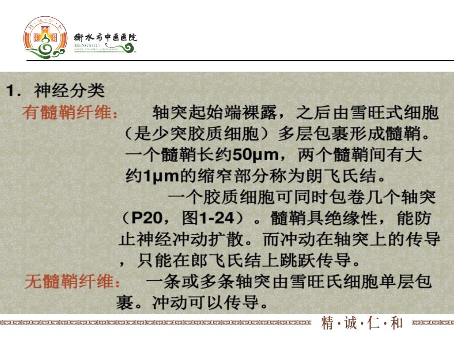 脑白质病变影像诊断2.ppt_第3页