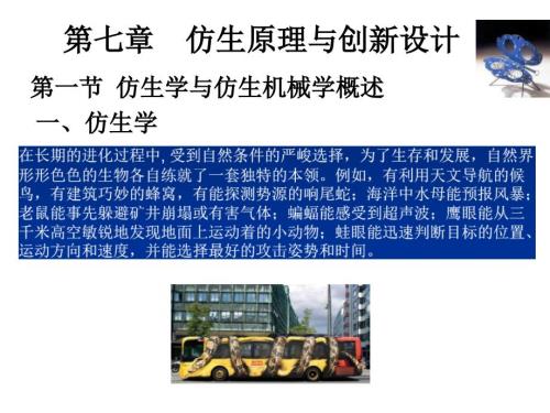 第七章仿生原理与创新设计.ppt