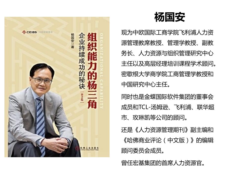 组织能力提升杨三角.ppt_第1页
