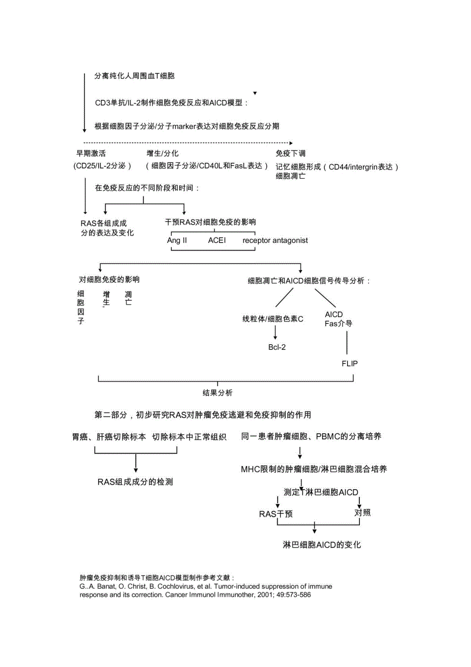 自然科学基金申请书技术路线汇总.doc_第2页