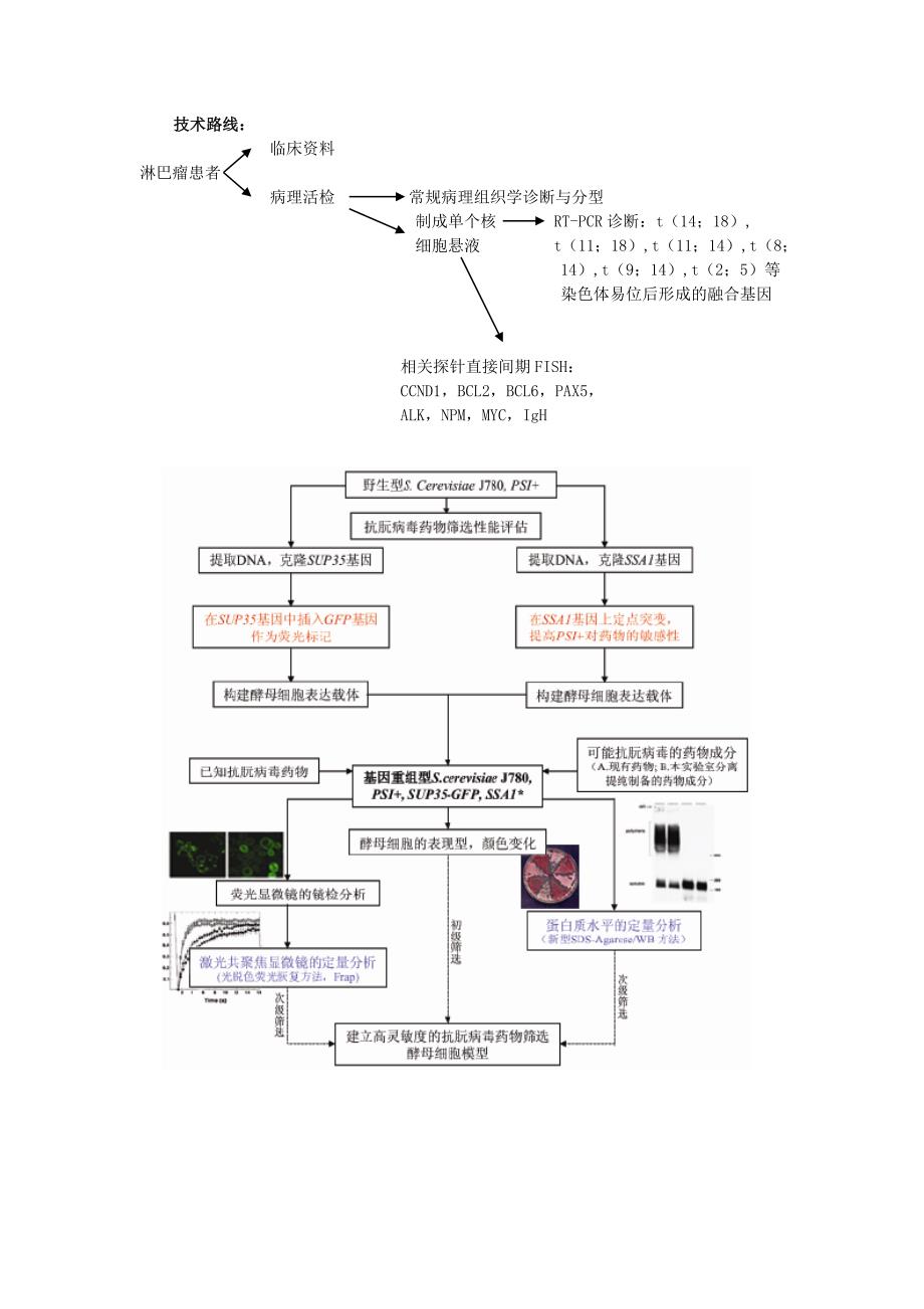 自然科学基金申请书技术路线汇总.doc_第3页