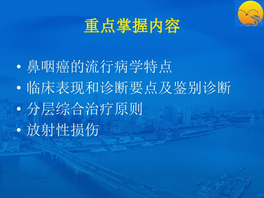 鼻咽癌PPT课件.ppt_第2页