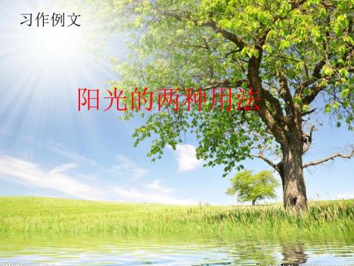 阳光的两种用法PPT优秀课件.pptx