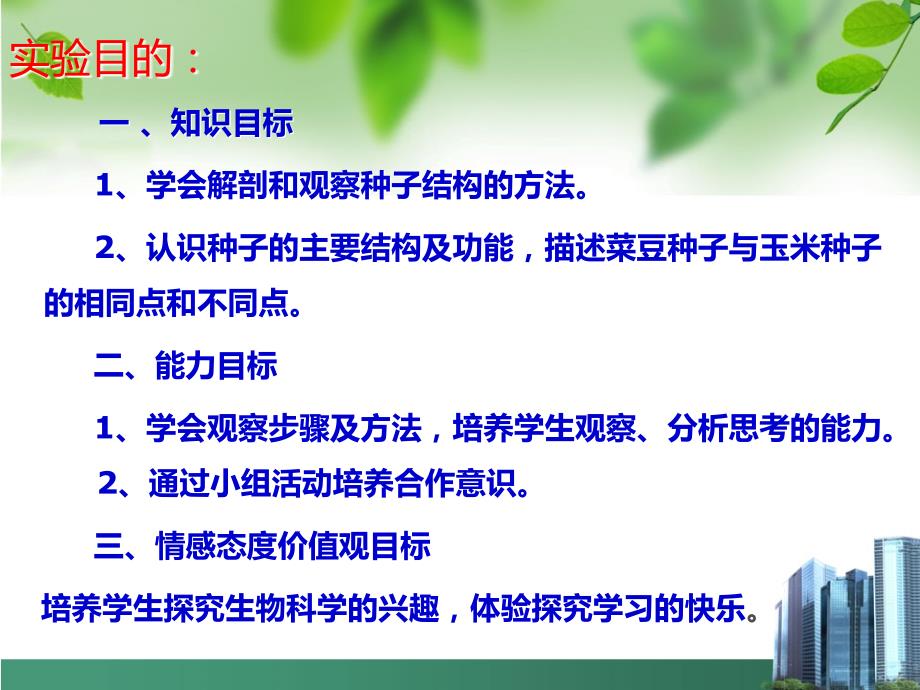 种子的结构PPT课件.ppt_第3页