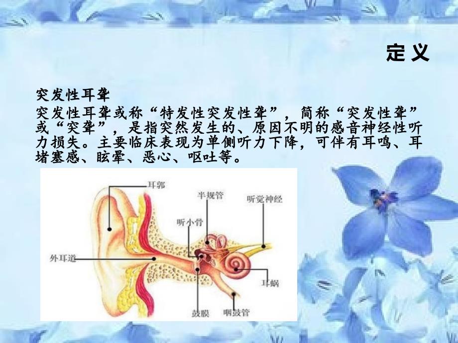 突发性耳聋病人的护理课件.pptx_第3页