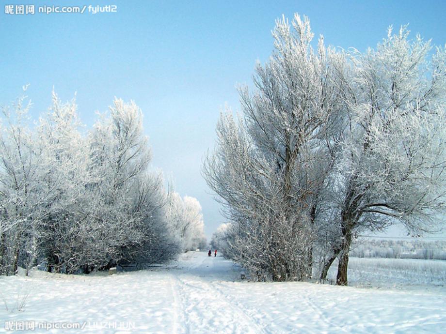 雪地里的小画家优秀完整课件PPT.ppt_第3页