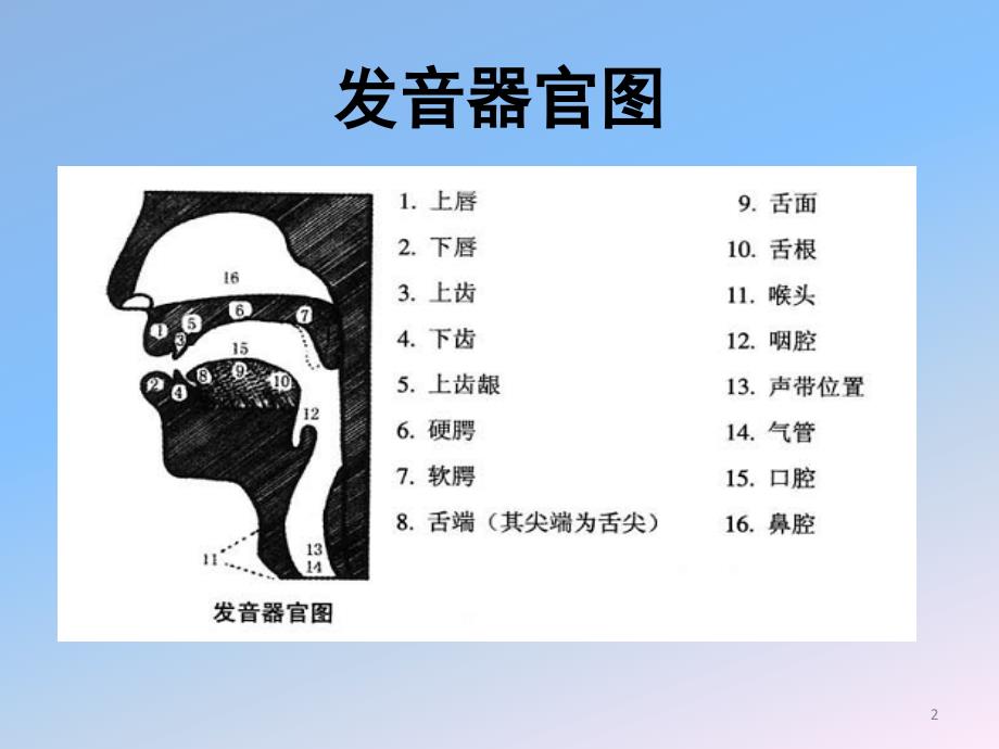 越南语语音课堂PPT.ppt_第2页