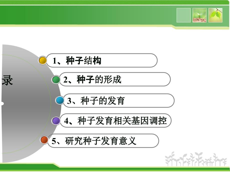 种子发育过程相关基因表达调控.ppt_第2页