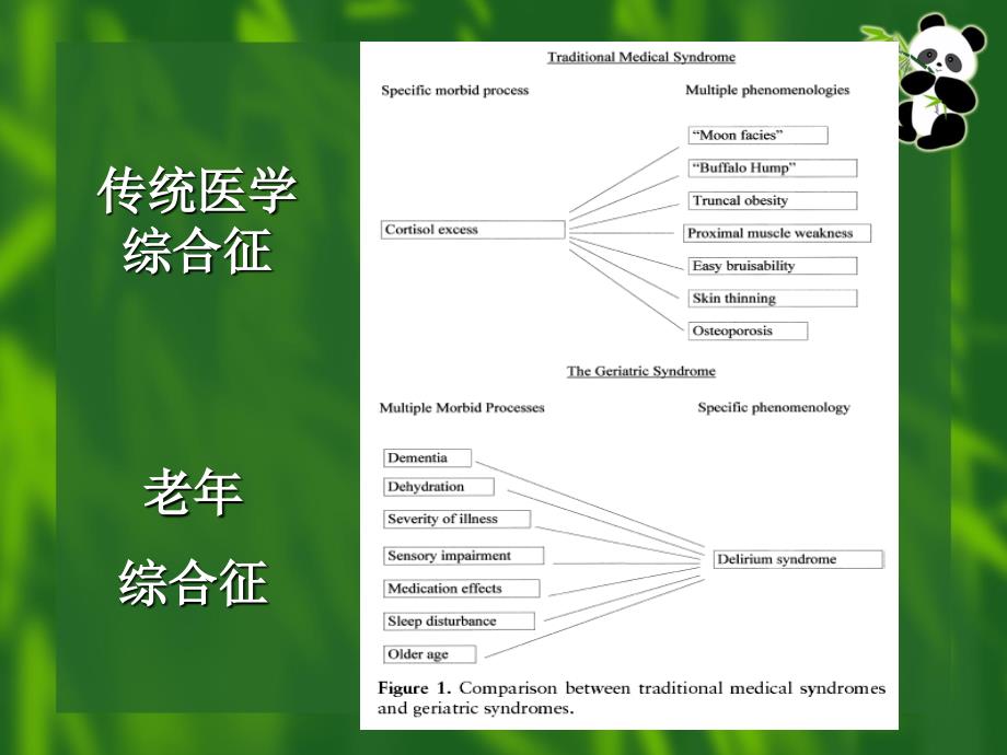 老年综合征的评估与干预.ppt_第3页