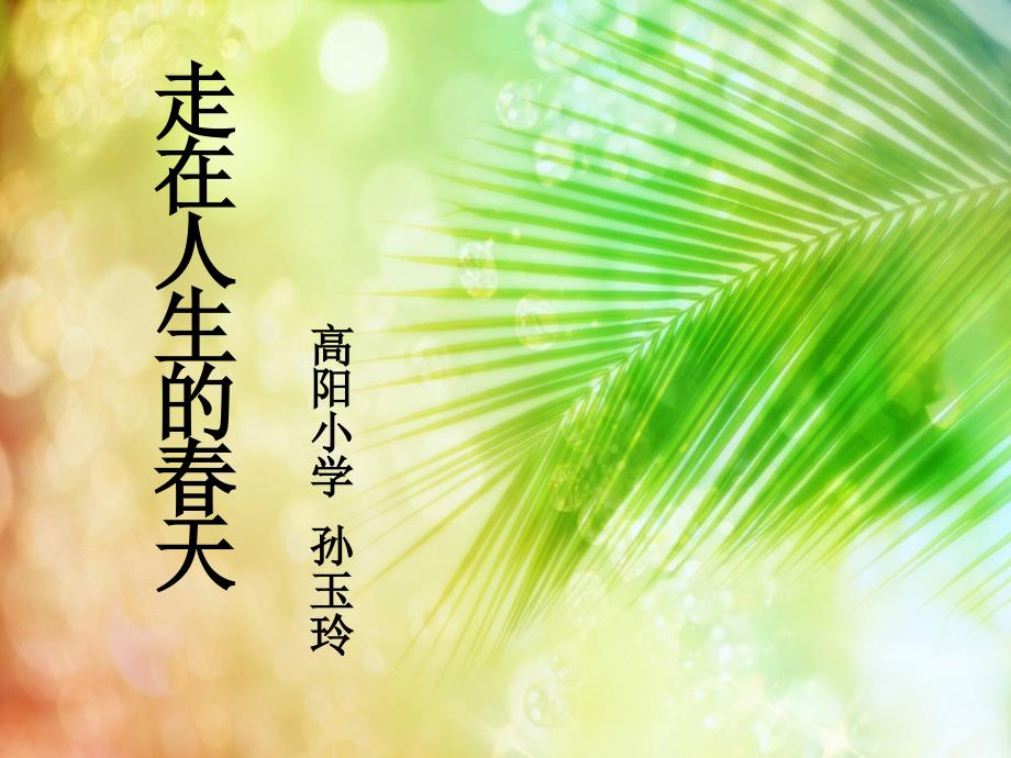 青年教师成长历程.ppt_第1页