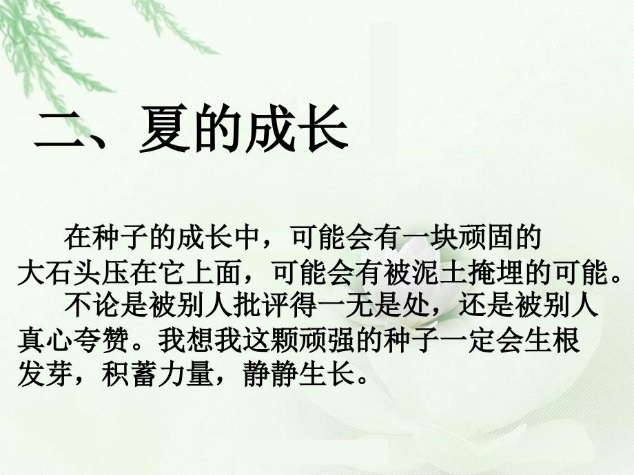 青年教师成长历程.ppt_第3页