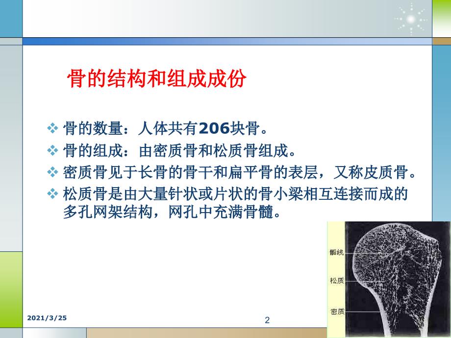 骨质疏松症PPT课件.ppt_第2页