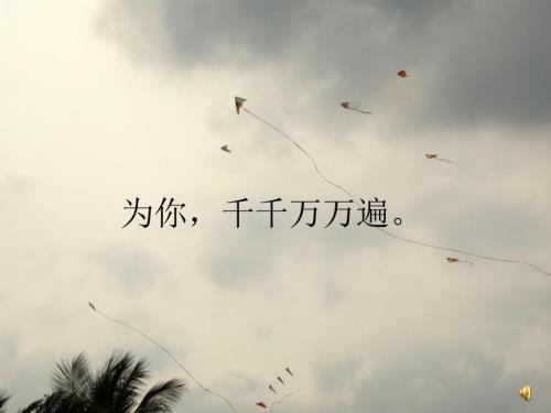 追风筝的人简介PPT课件.ppt