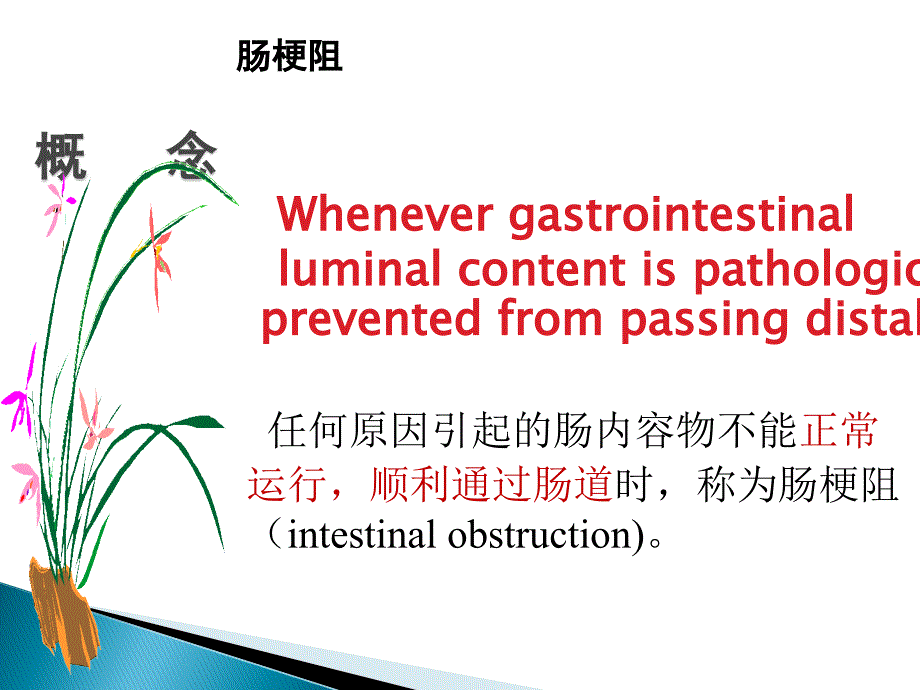 肠梗阻的诊断思维医学PPT.ppt_第2页